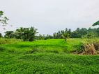පල්ලෙවෙල ස්ටේෂන් එකට පයින් යන දුරින් ඉඩමක්