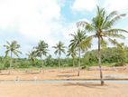 Plots for Sale in Galle