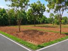 Plots Of Business Land in Rekawa