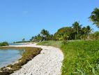 plots of business land in thangalle