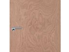 Plywood Doors