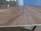 Plywood Sheets