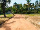 පම්බල පල්ලිය ආසන්නව සින්නක්කර බිම් කොටස්