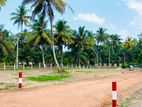 පම්බලින් සින්නක්කර ඉඩමක්