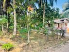පනාගොඩ, ලෙනගල ප්‍රදේශයේ පිහිටි ඉඩමක් විකිණීමට ඇත. (ID : PNGD001S)