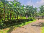 පනාගොඩ වැලිපිල්ලෑව වල්පිට පාරට ආසන්නයෙන් වටිනා තැනිතලා ඉඩමක් / UP 13741