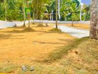 පනාගොඩට නුදුරින් වටිනා ඉඩමක් විකිණීමට.