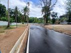 පන්නිපිටිය බිම් කොටස් විකිණීමට