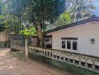 පන්නිපිටිය, වීර මාවතෙන් වටිනා ඉඩමක් සහ නිවසක් විකිණීමට / KR 12862