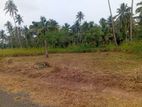 පන්නල පාරෙන් බිම් කොටස්