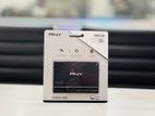 PNY 250GB SATA SSD