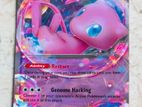 Pokémon Cards