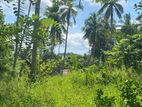 Land for Sale Bamunakotuwa