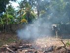 පොල් අක්කර 11 ක් විකිණීමට මදුරන්කුලි