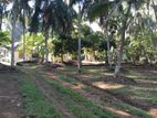 Land With House For Sale In Pugoda