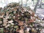 පොල් ලෙලි / Coconut Husks