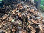 Coconut Husk