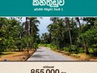 පොල් වගාවක් සහිත හොඳම ඉඩම