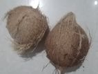 පොල්