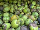 පොල්