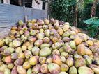 පොල් විකිණීමට ඇත