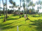 Polgahawela Land for Sale Mb06