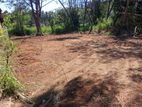 Polgahawela Maddalanda Land for Sale