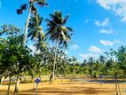 Polgasovita Land For sale