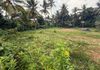 Polgasowita : 32 perches Land for Rent at Mattegoda - Ansicht 3