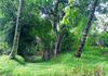 Polgasowita : 38 Perches commercial Land For rent Facing Colombo Road - Widok 6