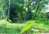 Polgasowita : 38 Perches commercial Land For rent Facing Colombo Road - Widok 2