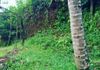 Polgasowita : 38 Perches commercial Land For rent Facing Colombo Road - Widok 5