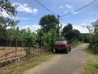 Polgasowita Ambalangoda Road Land for Sale