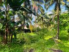 Polgasowita - Coconut Land for sale