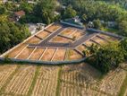 Polgasowita Paddy Field Face Beautiful Land Plots Sale