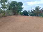 Polgasowita Samagi MW Land for Sale Facing to Paddy field
