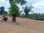Polgasowita Samagi MW Land for Sale Facing to Paddy field