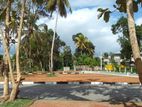 Polgasowita Valuable Land Plots Near to 120 Horana Colombo Road