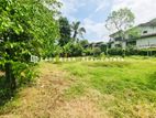 🏡🌴 පොල්ගහවෙල නගර මධ්යයේ වටිනා බිම් කොටසක් විකිණීමට