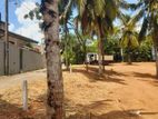 පොල්ගස්ඕවිටන් හොඳම ඉඩම land for sale in polgasowita kahathuduwa