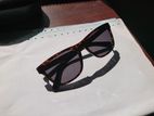 Polo Ralph Lauren Sunglass