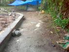 පොල්පිතිමුකලාන ඉඩමක්