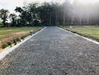 Polwaththa main road facing valueble land plots