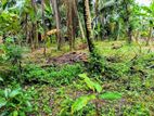 Polwatta-Pannipitiya 47 Perches of Land for Sale