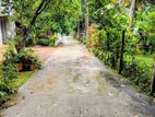 Polwatta-Pannipitiya 47 Perches of Land for Sale