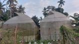 Poly Tunnel – 1000 Sq.Ft x 2