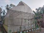 Poly Tunnel Green House