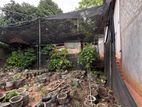 Poly tunnel