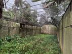 Net House