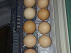 Chicken Eggs